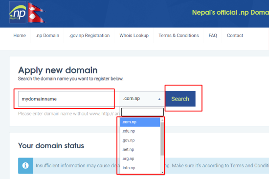 Free .np domain