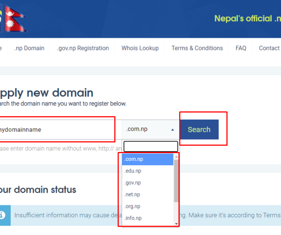Free .np domain